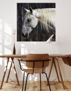 INSPIO Samolepky na zeď - Bílý kůň