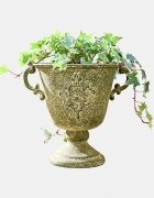 LOBERON Amfora Ivyridge