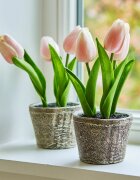 LOBERON Dekorační tulipány 2dílná sada Zéphine