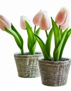 LOBERON Dekorační tulipány 2dílná sada Zéphine