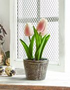 LOBERON Dekorační tulipány 2dílná sada Zéphine
