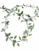 LOBERON Girlanda Cecilia