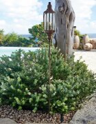 LOBERON LED lucerna Ivette