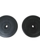 vidaXL 2 x kotouč 10 kg