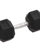 vidaXL Činka 175 kg Litina