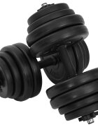 vidaXL Činky 2 x 15 kg