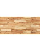 vidaXL Deska psacího stolu napuštěná olejem 120x50x2 cm masivní akácie