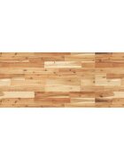 vidaXL Deska psacího stolu napuštěná olejem 160x50x2 cm masivní akácie