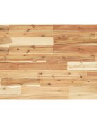 vidaXL Deska psacího stolu napuštěná olejem 60x50x4 cm masivní akácie