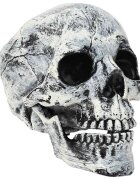 vidaXL Halloweenská lebka SPOOKA 2 ks Bílá 12 x 15 x 17.5 cm Plast