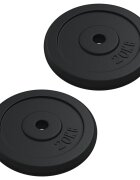 vidaXL Kotouče na činku 40 kg litina