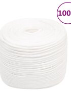 vidaXL Lodní lano celobílé 6 mm 100 m polypropylen