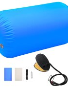 vidaXL Nafukovací cvičební válec s pumpou 100 x 60 cm PVC modrý