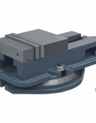 vidaXL Otočný strojní svěrák litina 160 mm