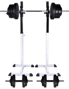 vidaXL Posilovací stojan se sadou činek barbell a dumbbell 605 kg