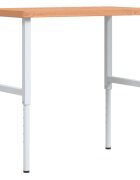 vidaXL Pracovní stůl 100 x 60 x (73–995) cm masivní buk obdélníkový