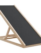 vidaXL Rampa pro psy šedá 100 x 40 cm masivní jedlové dřevo