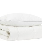 vidaXL Sada přikrývek s 90% husím peřím FULDA 2 ks 137 x 200 cm Zima