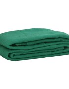 vidaXL Síť na přívěsný vozík zelená 3 x 5 m HDPE