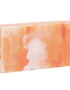 vidaXL Sůl kameny 10 ks Růžová 20 x 10 x 5 cm Kamenná sůl