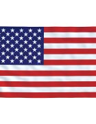 vidaXL Vlajka USA 90 x 150 cm