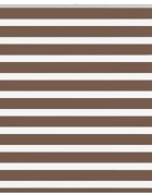 vidaXL Zebra roleta hnědá 150x150 cm šířka látky 1459 cm polyester