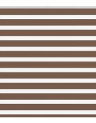 vidaXL Zebra roleta hnědá 160x150 cm šířka látky 1559 cm polyester