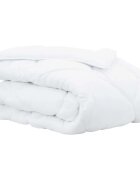 vidaXL Zimní přikrývka 240 x 200 x 5 cm Zima Polyester Bílá Prodyšný