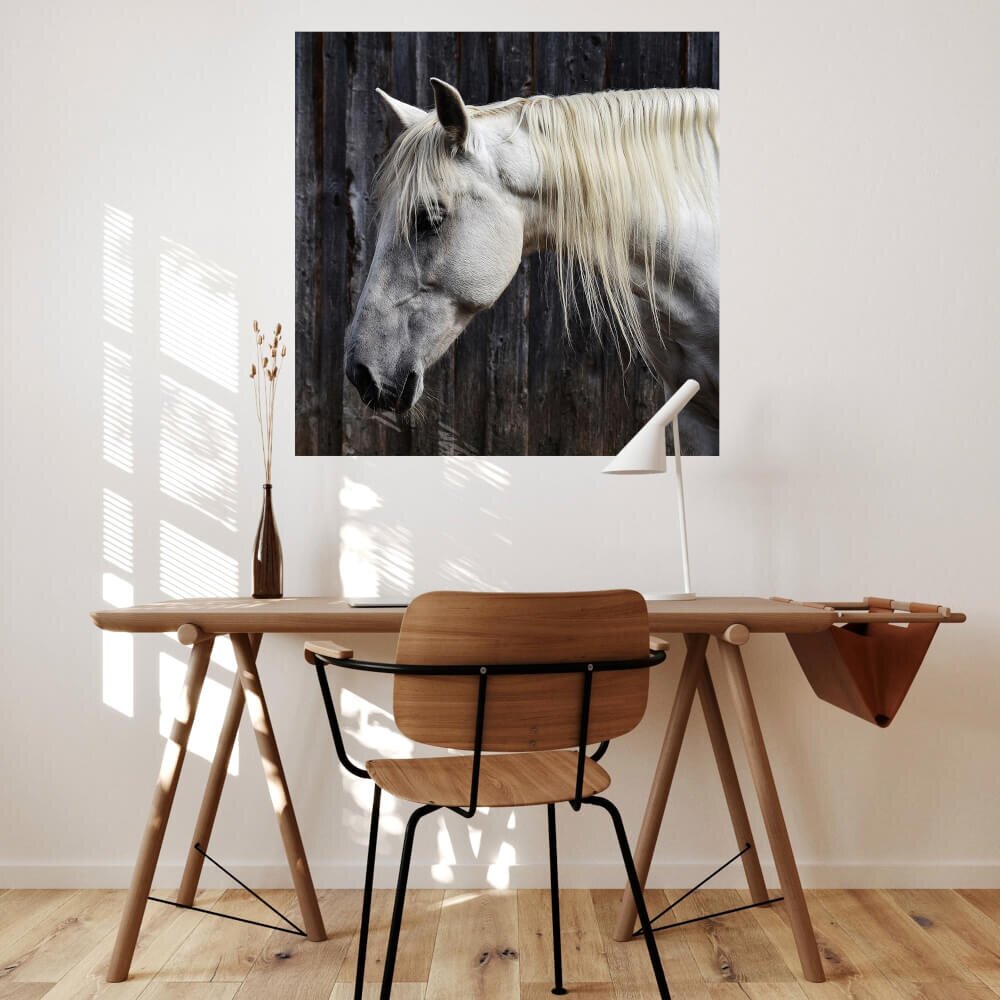 INSPIO Samolepky na zeď - Bílý kůň