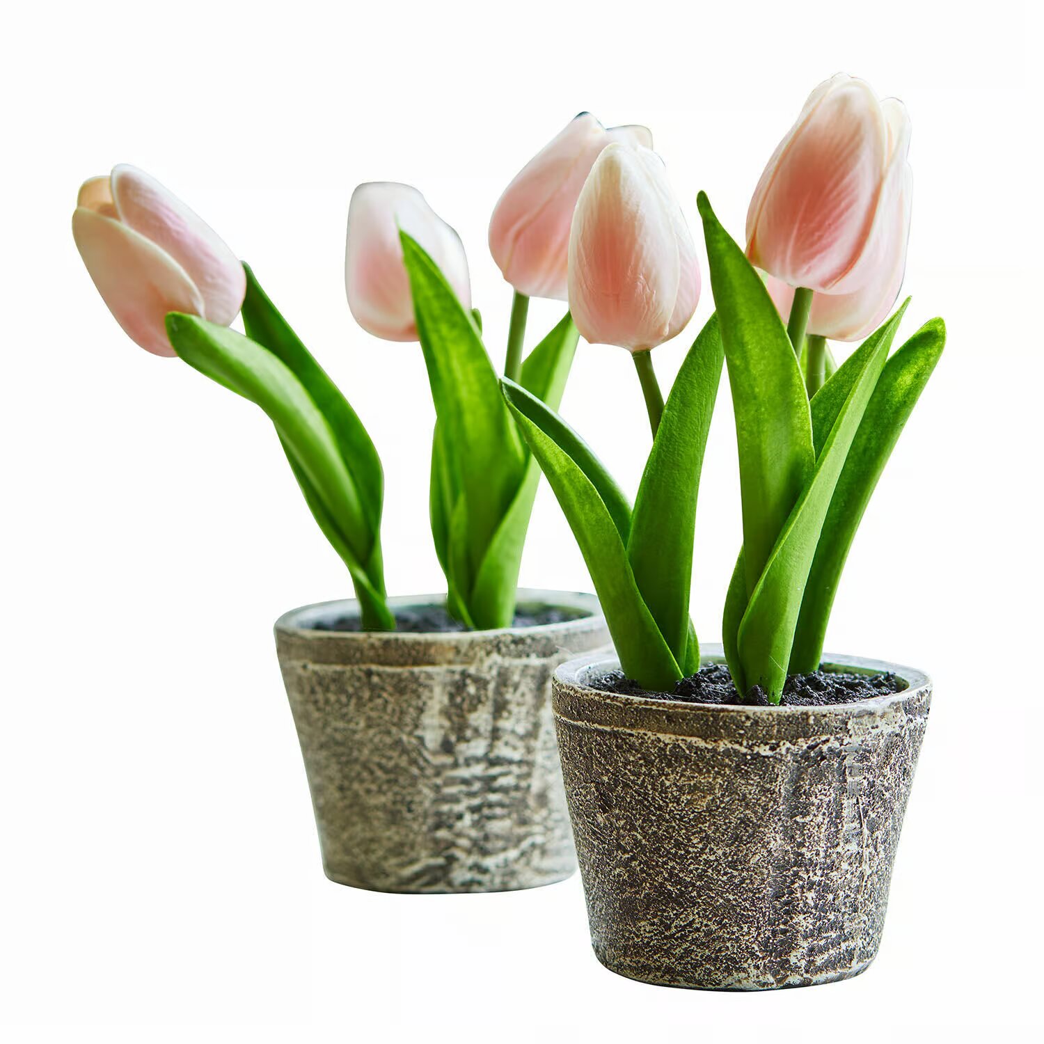 LOBERON Dekorační tulipány 2dílná sada Zéphine