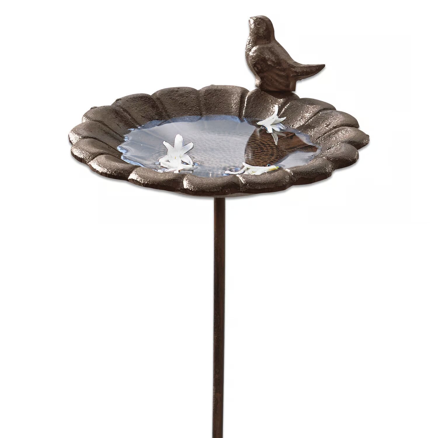 LOBERON Ptačí pítko Finch