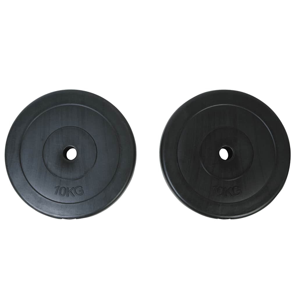 vidaXL 2 x kotouč 10 kg