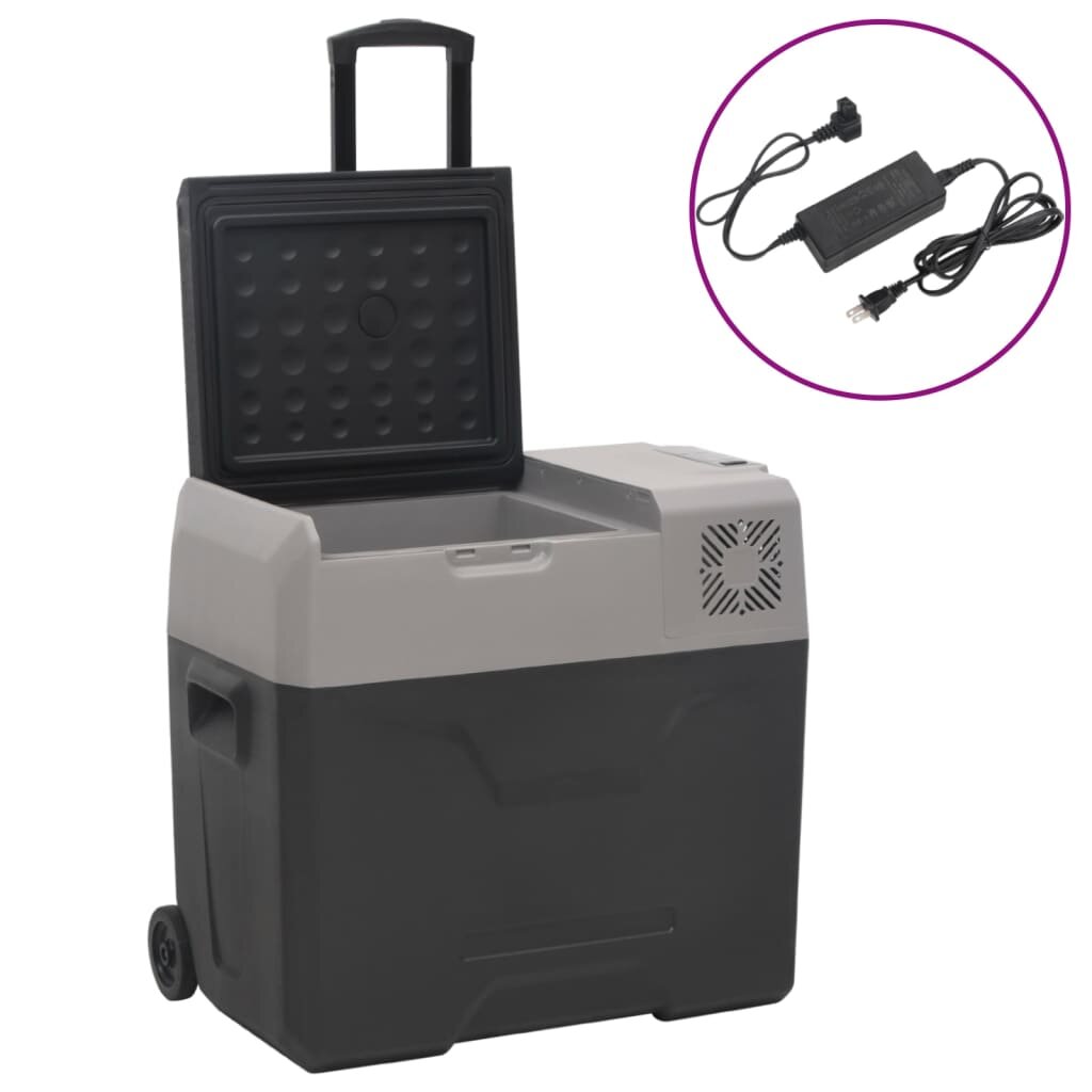 vidaXL Chladicí box s kolečky a adaptérem černý a šedý 50 l PP