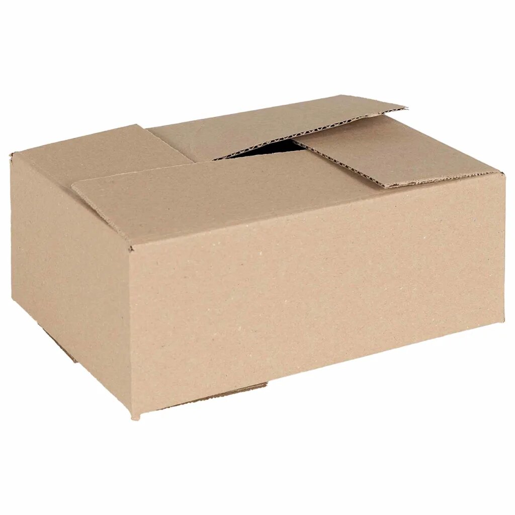 vidaXL Skládací box 50 ks Přírodní 25 x 175 x 10 cm Lepenka